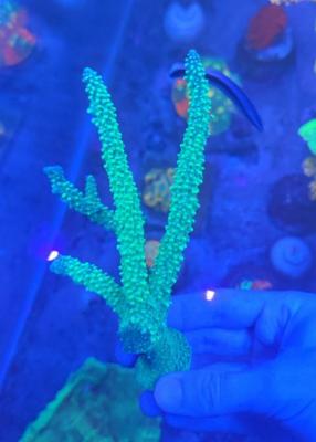 photo_2026-04-25_21-47-41 (2).jpg