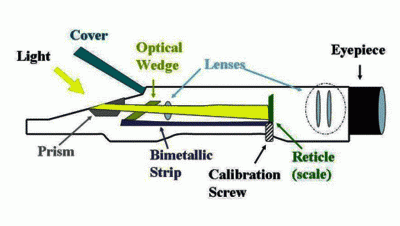 Figure3.gif