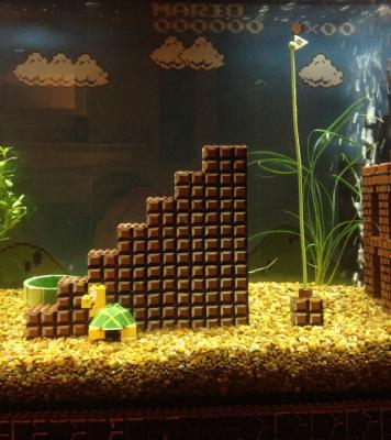 super-mario-aquarium-3.jpeg