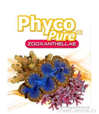 PhycoPure-Zooxanthellae-algagen.jpg