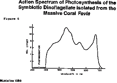 pap3fig6.gif
