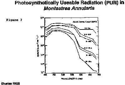 pap3fig7.gif