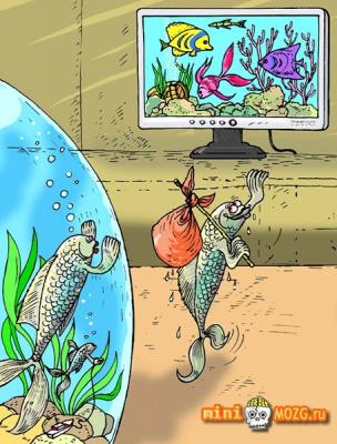Рыбка уходит.jpeg