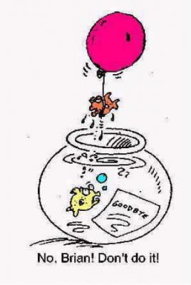 Рыбка самоубийца.jpg