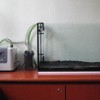 Eden20501and20CL85.JPG
