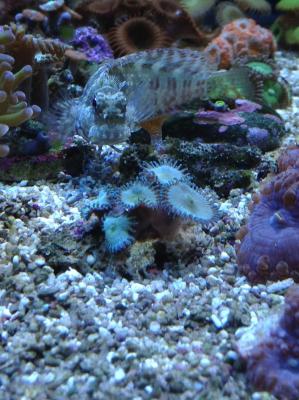 IMG_1167.JPG