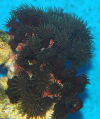IMG_4754.JPG