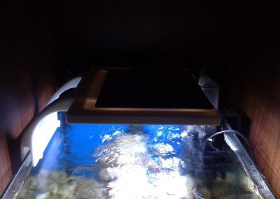 1205_1.jpg