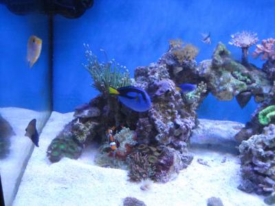 IMG_1013.JPG
