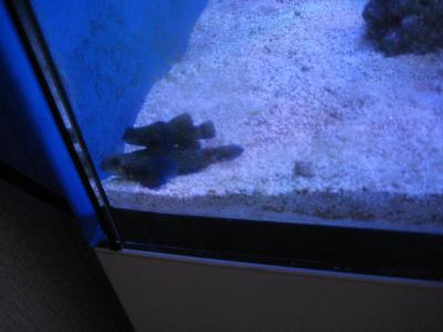 IMG_1032.JPG