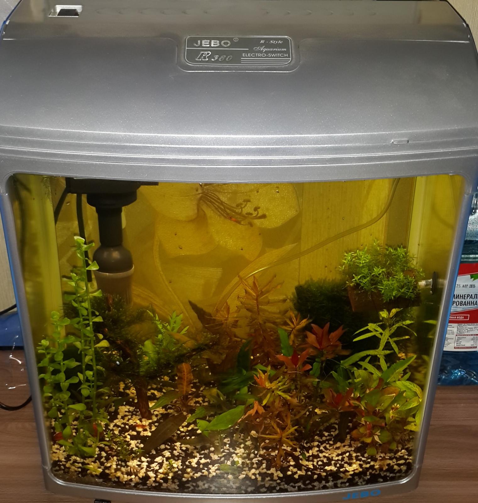 аквариумная барахолка
