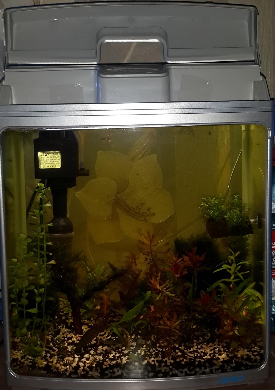 аквариумистика. самп для аквариума 300 литров. аквариумная барахолка. аквариумистика колпино. Chihiros wrgb 2 60.