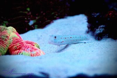 IMG_9059.jpg