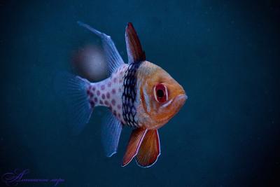 IMG_9070.jpg