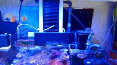 P_20150504_115753_HDR.jpg