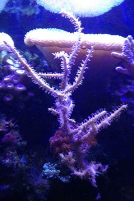 IMG_5561.JPG