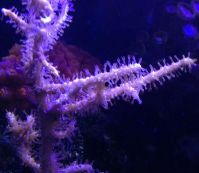 IMG_5578.JPG