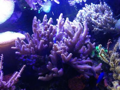 IMG_5576.JPG