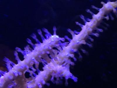 IMG_5579.JPG