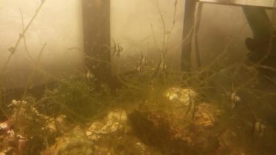20160515_203140.jpg