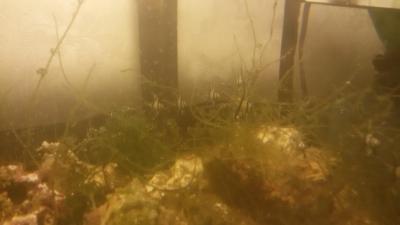 20160515_203133.jpg