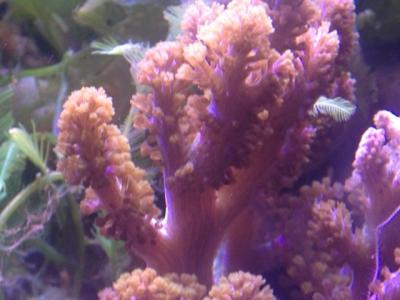 IMG_9010.JPG