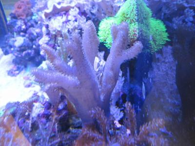 IMG_1412.JPG