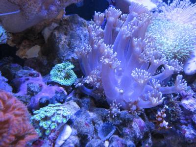 IMG_1414.JPG