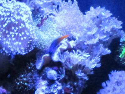 IMG_1440.JPG