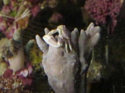 IMG_1387.JPG