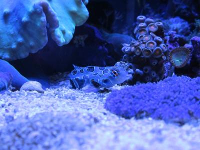 IMG_1401.JPG