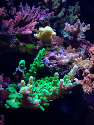 IMG_7120.JPG