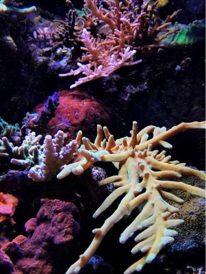 IMG_7189.JPG
