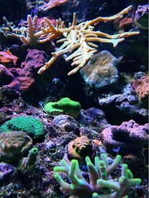 IMG_7190.JPG