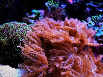 IMG_7205.JPG