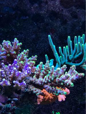 IMG_7201.JPG