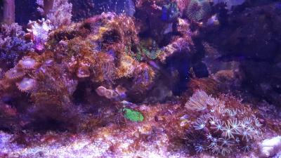 20170508_193127.jpg