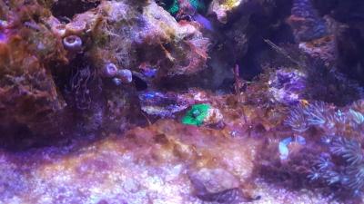 20170427_123747.jpg