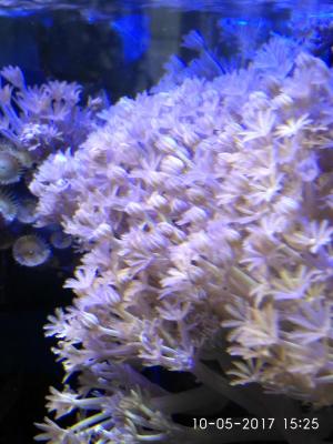 IMG_20170510_152535_HDR.jpg