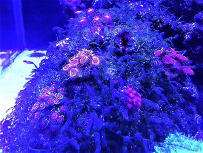 IMG_1769.JPG