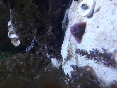 20170224_114432.jpg