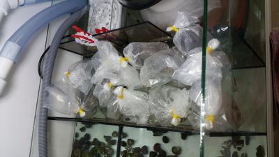 20170519_074257.jpg