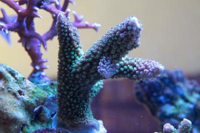 Копия IMG_0328.jpg