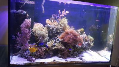 20170502_154156.jpg