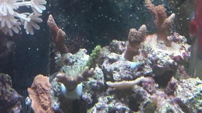20170507_122605.jpg