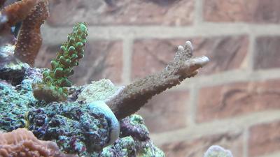 20170505_171656.jpg