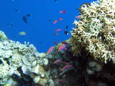 M0056959.JPG