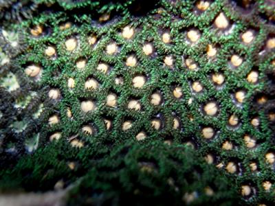 M0034588.JPG