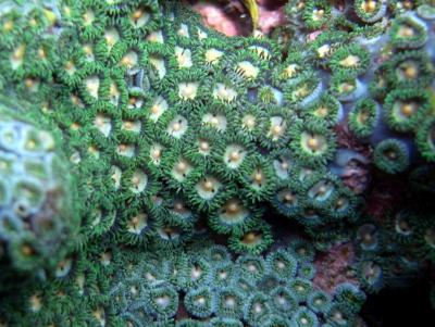 M0034600.JPG