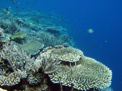 M0056844.JPG